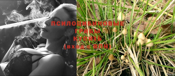 кристаллы Гусиноозёрск