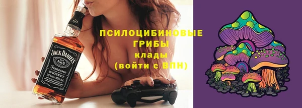 спиды Гусев