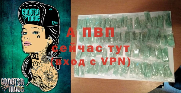 спиды Гусев