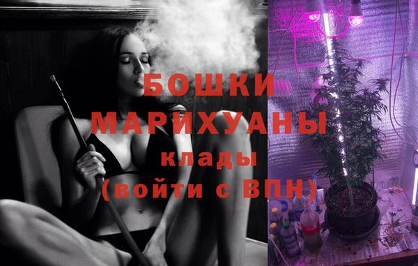 спиды Гусев