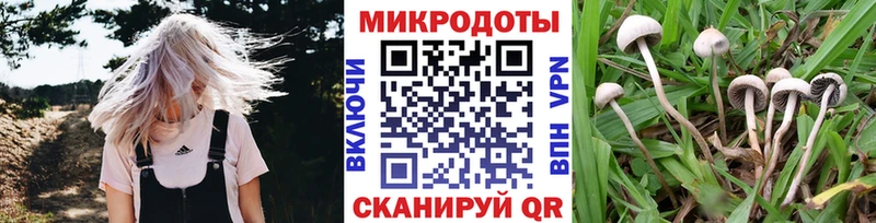 Галлюциногенные грибы мухоморы  Купить закладки  Краснознаменск 